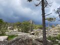 corse 054d